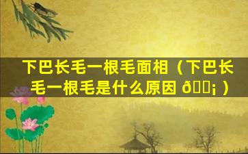 下巴长毛一根毛面相（下巴长毛一根毛是什么原因 🐡 ）